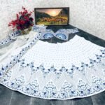 Embroidery Lehenga choli