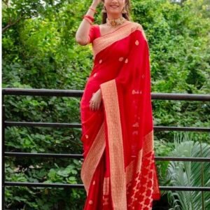 Lichi silk red saree for wedding