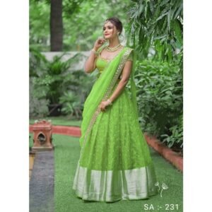 Stylish Traditional Party Wear Saree
