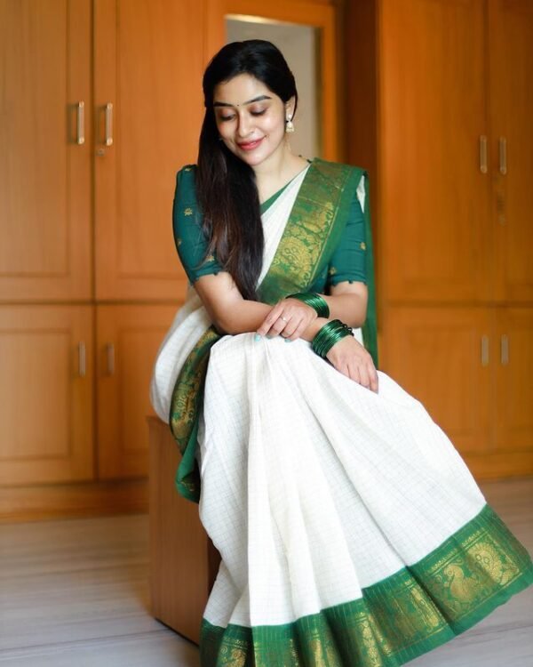 South Indian Style lichi Silk Saree - Evilato