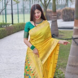 Classy Party Wear Saree For Women